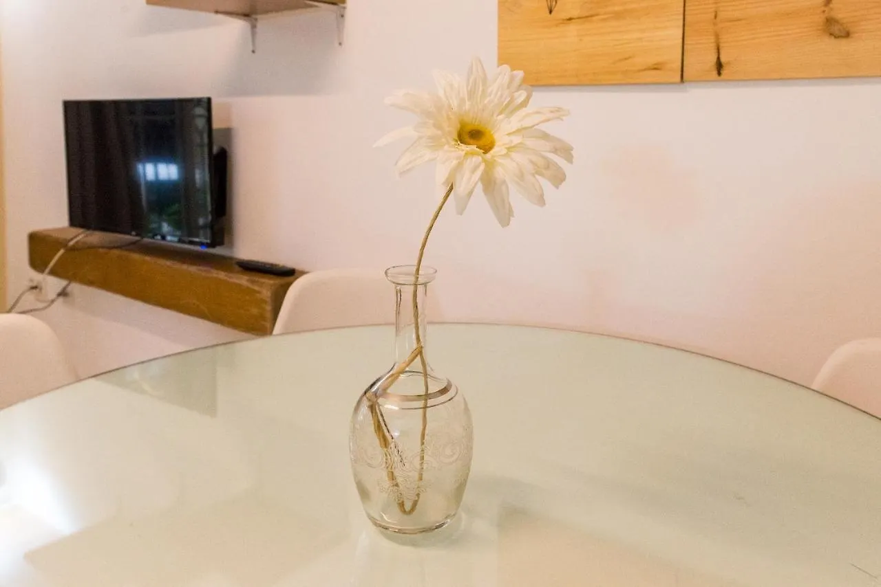 Gr0-Quiet Apartment, Private Backyard, Walk To Old Town Malaga 0*,